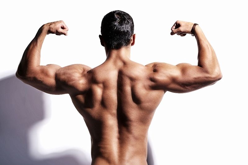 Берите пример с Железного Арни: как легко нарастить мышцы