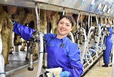 Субсидии малым фермерам на производство молока в Краснодарском крае увеличат в два раза