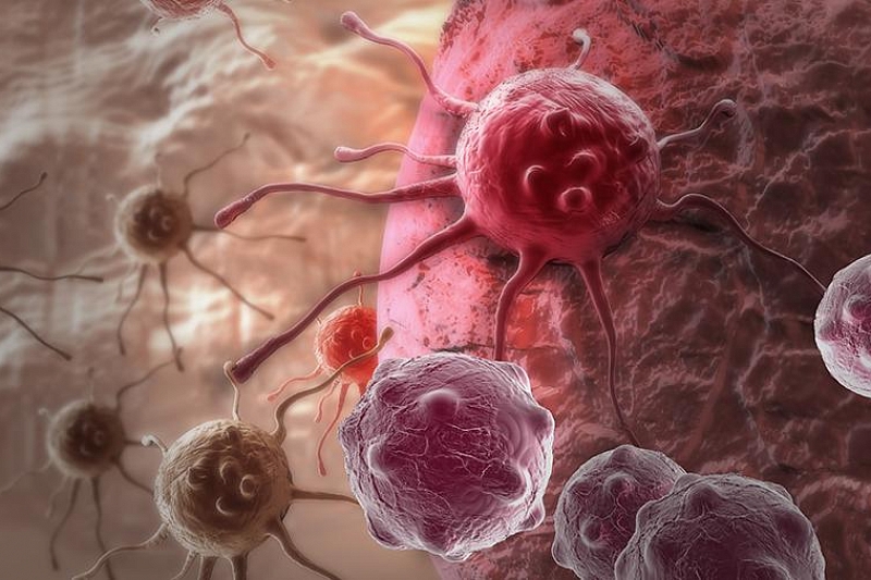 Немецкий ученый назвал эффективный способ борьбы с раком