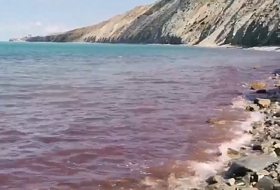 «Красный прилив»: море под Анапой окрасилось в неестественный цвет