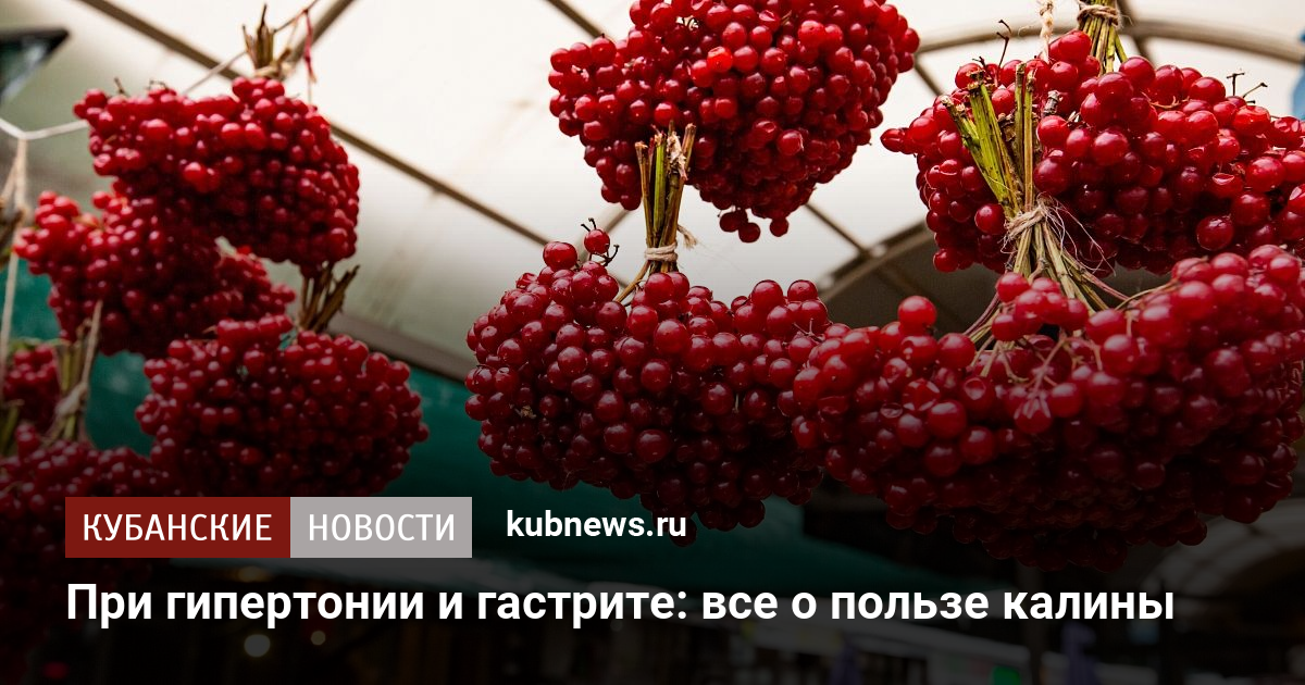 Почему калина перегревается