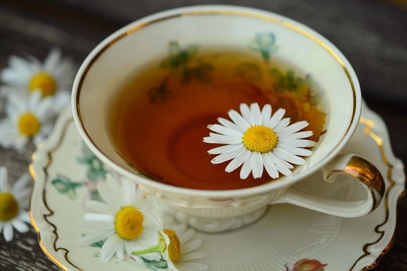 Спасаемся от деменции: три вида чая, которые снижают риски развития старческого слабоумия