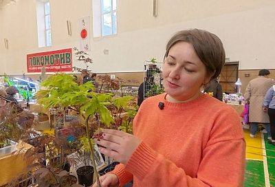 Все цвета радуги в одном деревце: как вырастить в России японский клен