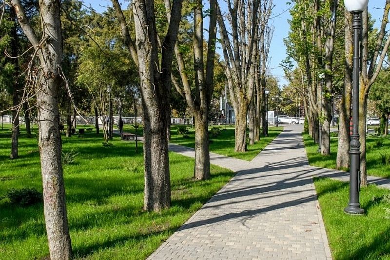 На сайте мэрии Краснодара описали скверы для голосования за благоустройство в 2024 году