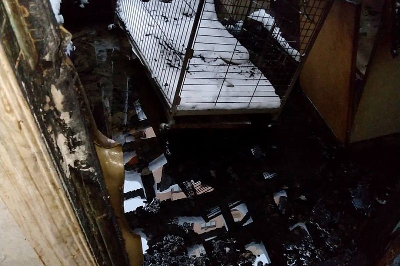 В МЧС рассказали о пожаре в приюте для животных