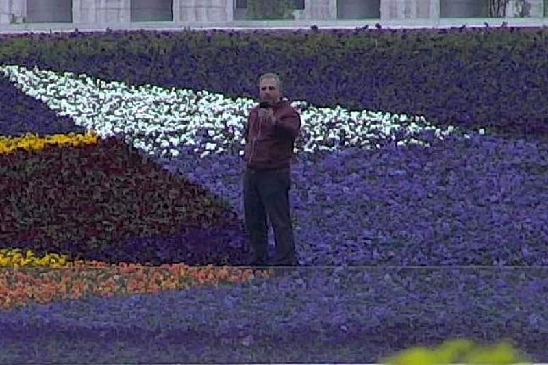 Администрация парка «Краснодар» грозит судом вандалу, который вытоптал цветы