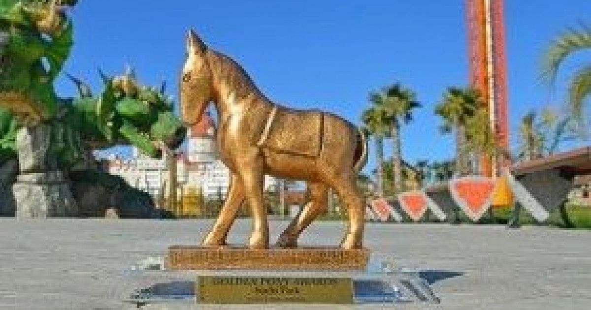 пони украина. пони сочи. гарцующий пони бар. рюкзак с пони brauberg. My little pony аватарки.