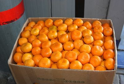 На границе в Сочи таможенники оформили уже более 1,5 тыс. тонн мандаринов из Абхазии