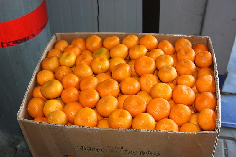 На границе в Сочи таможенники оформили уже более 1,5 тыс. тонн мандаринов из Абхазии
