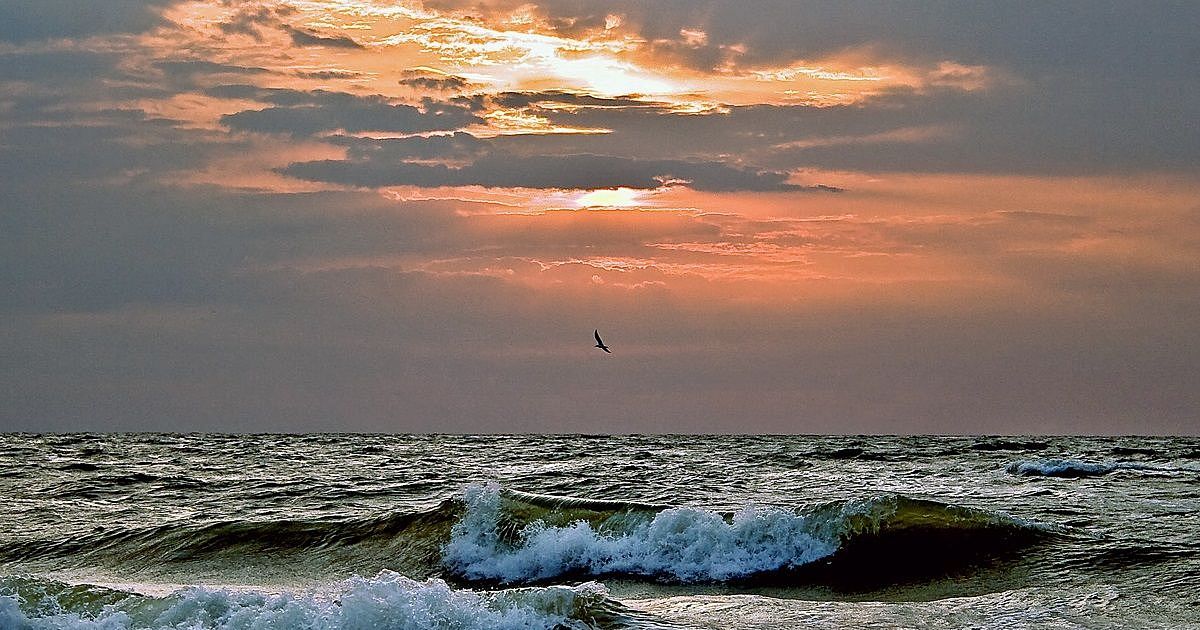 Фото азовского моря красивые