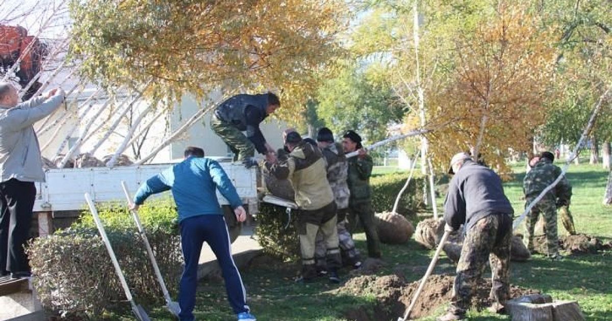 Погода в поселке виноградном