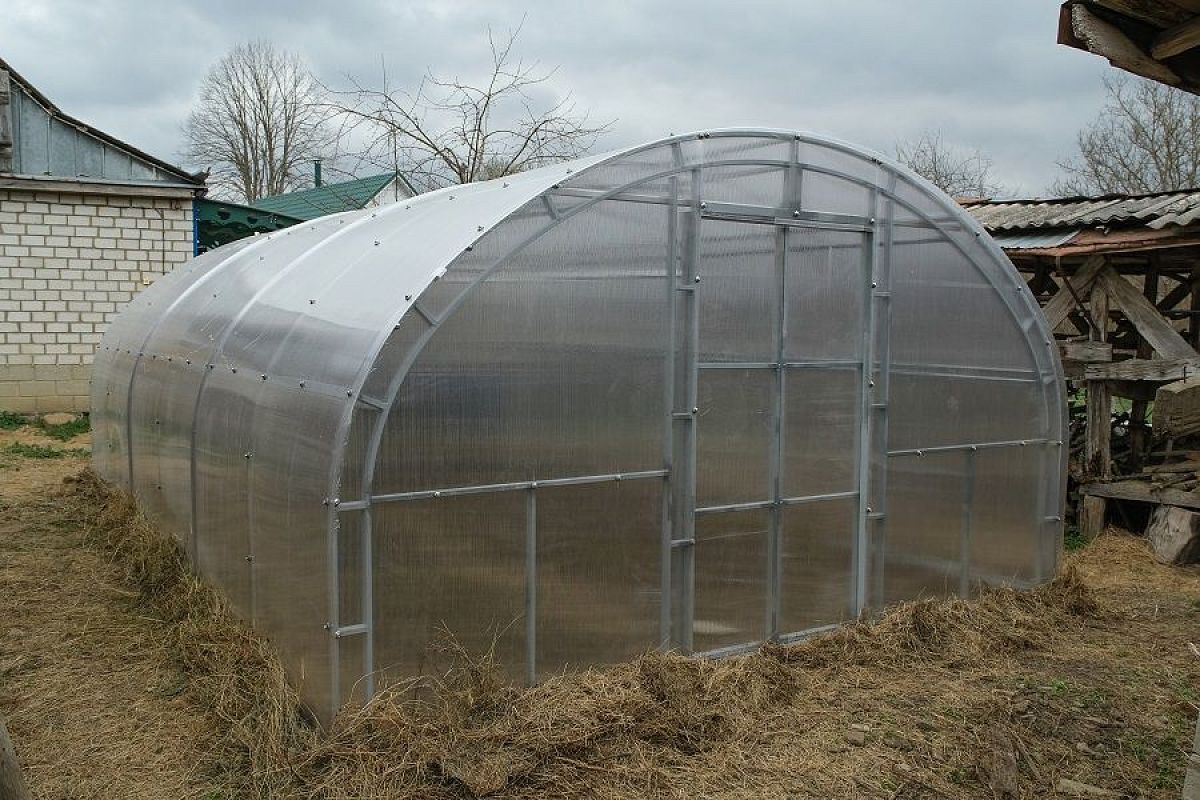 Закрыть или нет: надо ли зимой открывать теплицу для проветривания