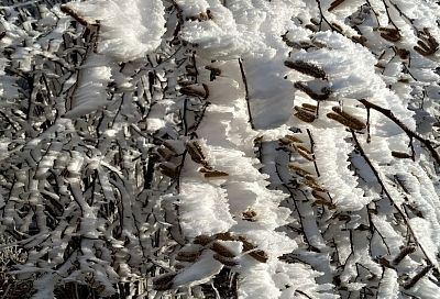 Синоптики предупредили о мокром снеге и гололедице в горном кластере Сочи