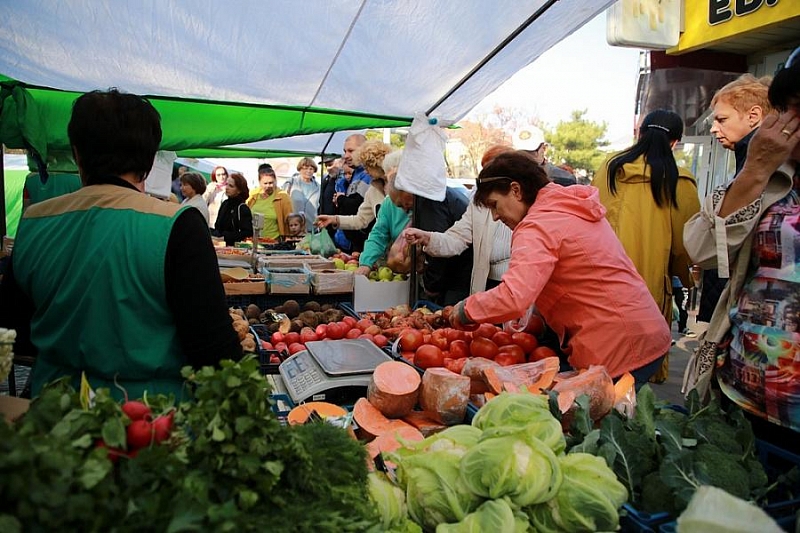 В Краснодарском крае на ярмарках выходного дня продано более 16 тысяч тонн местной продукции
