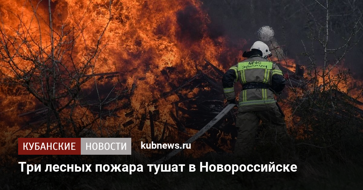 Три лесных пожара тушат в Новороссийске