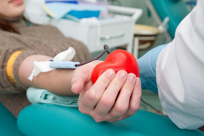 Жители Краснодарского края смогут сдать кровь для детей больных раком