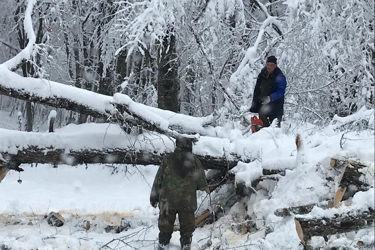 Дороги в Кавказском заповеднике оказались заблокированы из-за непогоды