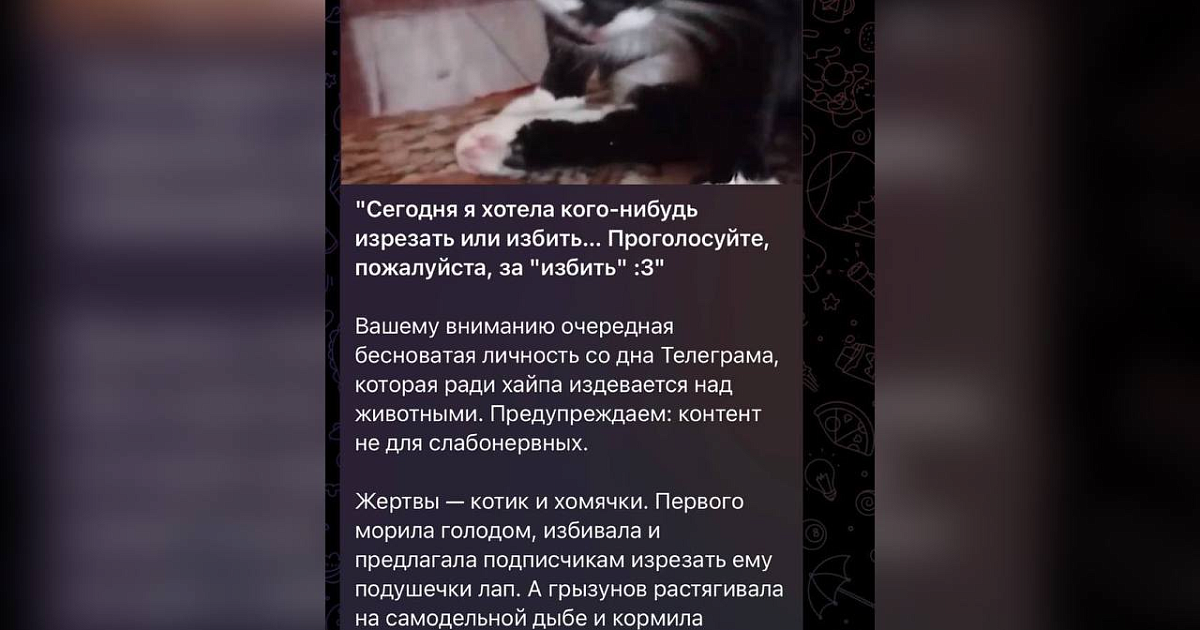 Петиция остановите издевательство над кошками в приложении. Девочка живодерка Краснодар.