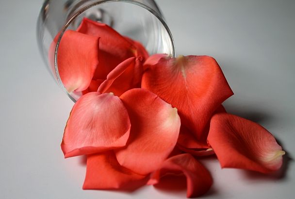 Лепестками этих роз: романтичный рецепт от боли в суставах и проблемной кожи