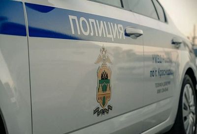 Мужчина незаконно вырубил деревья на 11 млн рублей в Апшеронском районе