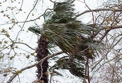 Ураганный ветер обрушился на Краснодарский край