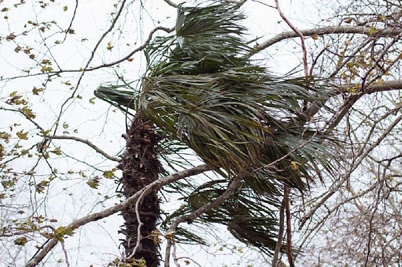Ураганный ветер обрушился на Краснодарский край