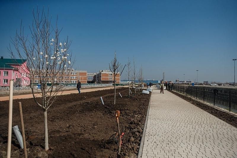 На новой аллее на ул. Красных Партизан в Краснодаре высадили деревья