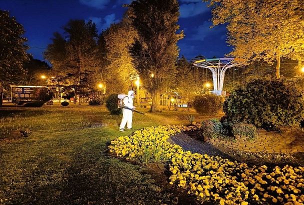 Жителей Краснодара попросили отказаться от посещения парков из-за обработки от комаров и клещей