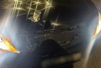 Иномарка насмерть сбила мужчину на трассе М-4 «Дон» в Геленджике