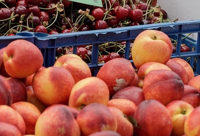 Черешня, персики и абрикосы: что продают на летних ярмарках выходного дня в Краснодаре
