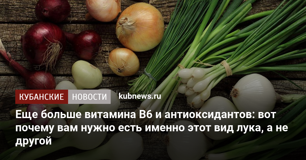 Лук больше всего витамина. В луке много витамина. Нельзя есть лук. Лук 2023. А знаете что о луке.