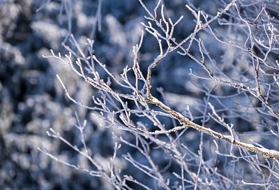 Пришла зима: в Краснодаре выпал первый снег
