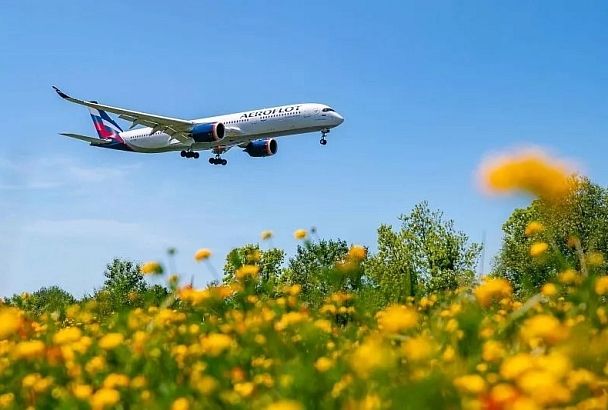 «Аэрофлот» летом увеличивает частоту полетов в Сочи