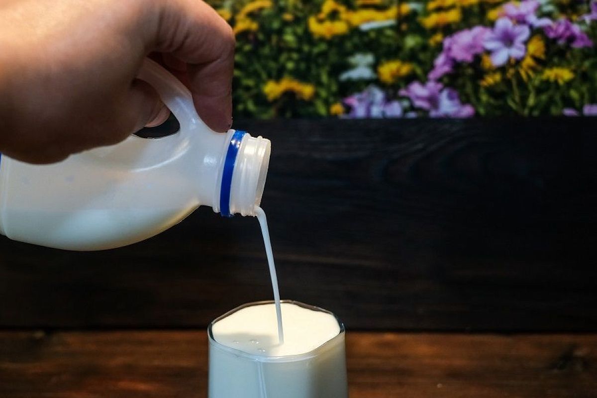 Молоко и йод против тли: эффективный народный метод для защиты растений