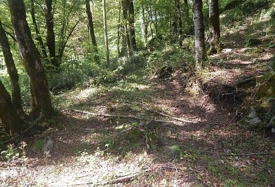 «ВНИИ Экология» начнет расширение Сочинского национального парка