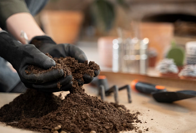 ГК «Дело» планирует увеличить перевалку удобрений на четверть в 2026 году