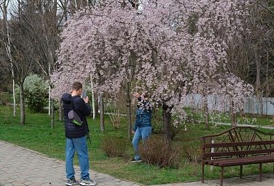 Курорт Краснодарского края возглавил топ-10 самых теплых мест России 6 апреля