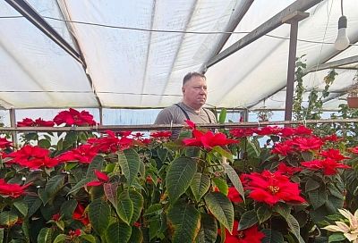 Губернатор Кубани Вениамин Кондратьев: «В 2026 году планируем заключить более 7,7 тысячи социальных контрактов»