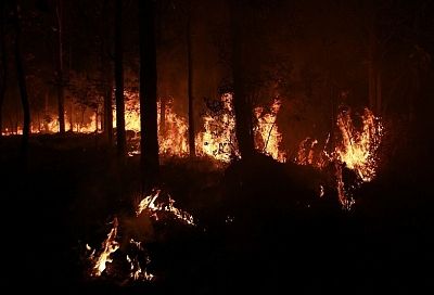 Россиянам предсказали сложный пожароопасный сезон