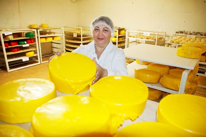 Заместитель директора мини-молокозавода из Кропоткина Вита Белоусова с особым трепетом относится к сырам, которые здесь изготавливают.