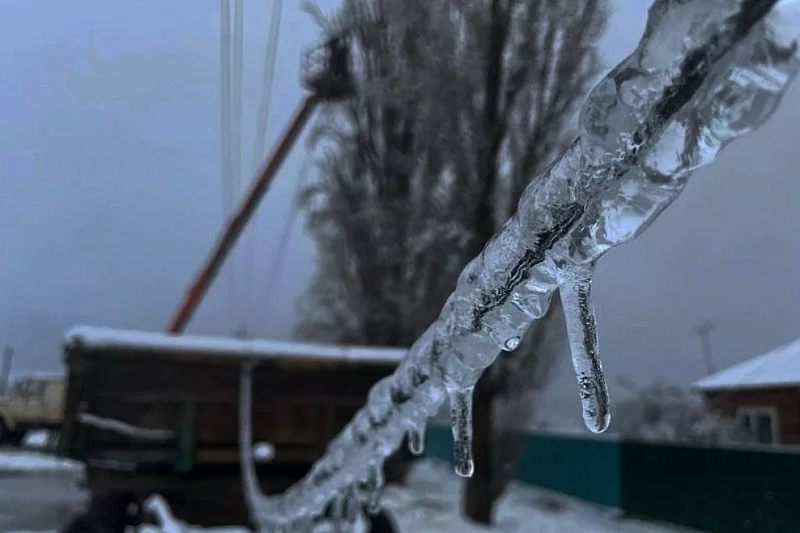 Рвутся провода и падают деревья: синоптик Вильфанд рассказал, чем опасен ледяной дождь