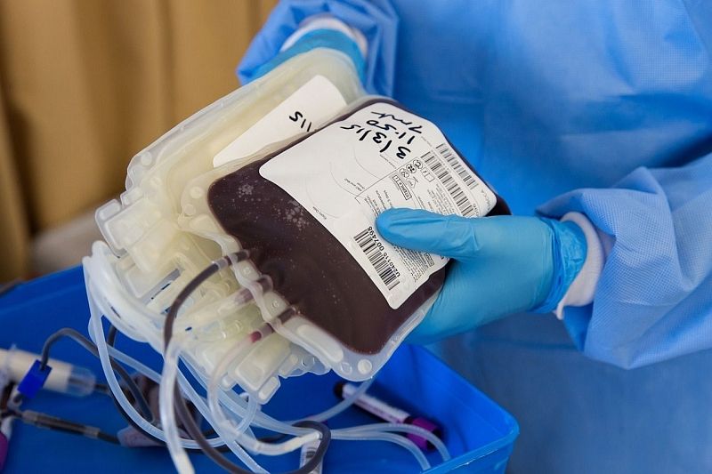 Краснодарская больница приглашает сдать кровь
