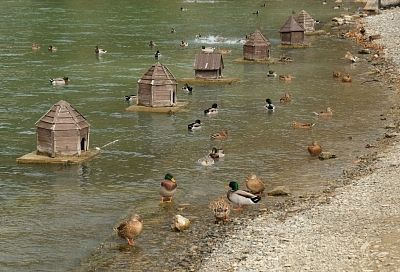 Курорты Краснодарского края вошли в топ-10 дорогостоящих направлений для отдыха в декабре