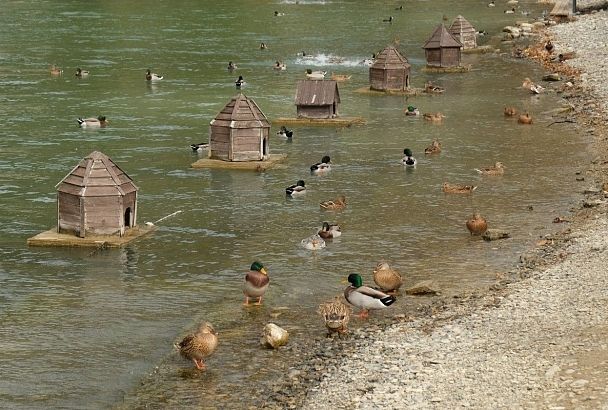 Курорты Краснодарского края вошли в топ-10 дорогостоящих направлений для отдыха в декабре