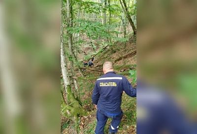 На Кубани в лесу нашли тело пропавшего пенсионера