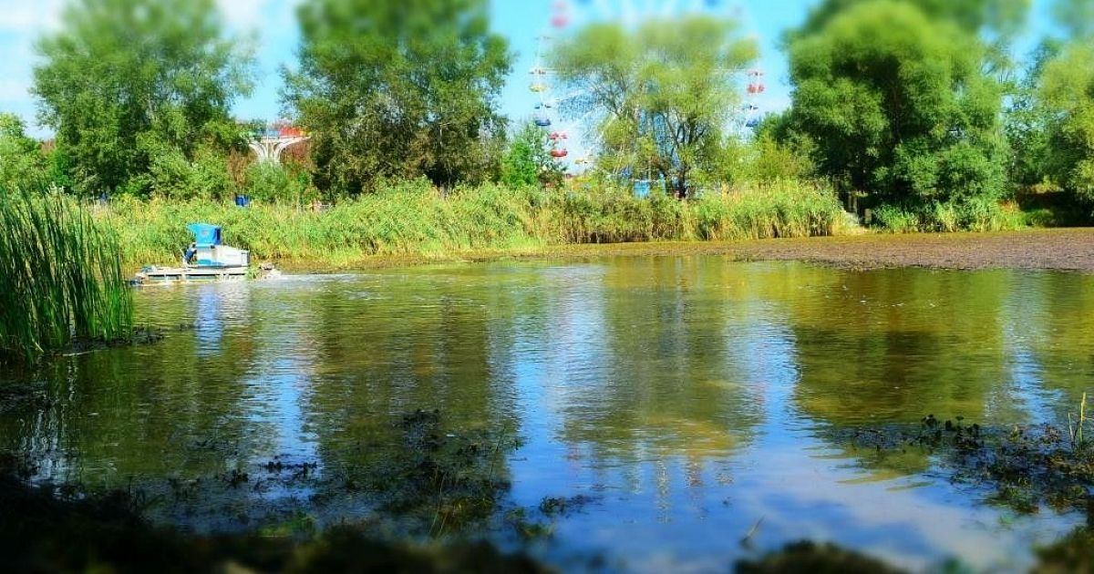 Славянск на кубани озеро толока фото