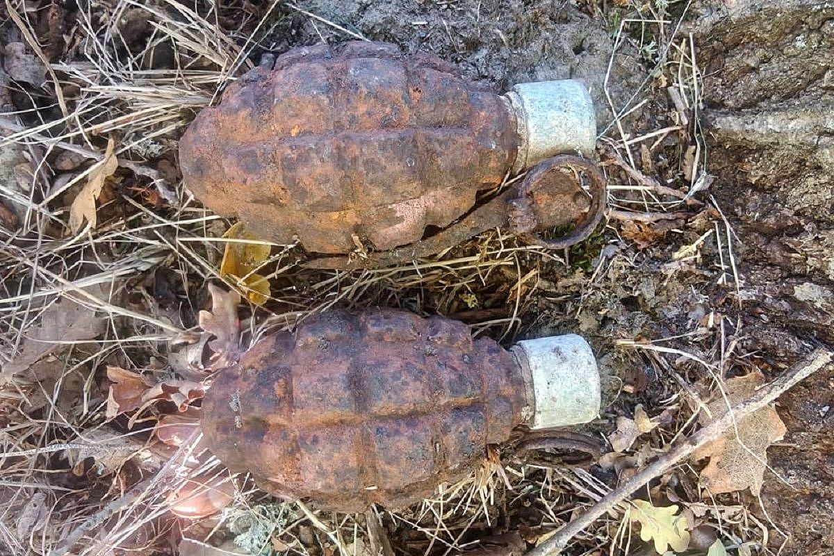 Туристы нашли гранаты периода Второй мировой войны недалеко от базы отдыха на Кубани