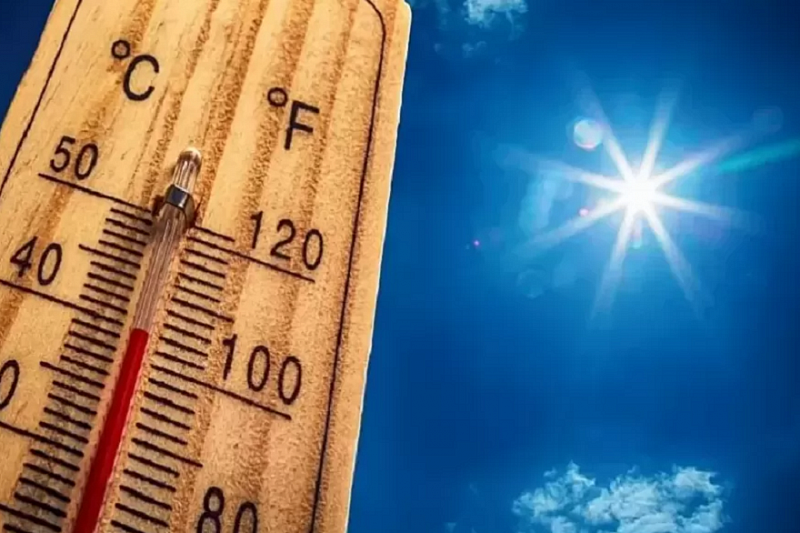 Лето 2021 года стало рекордно жарким в России 