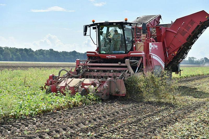 Как проходит уборка сахарной свеклы и подготовка почвы к севу озимых культур под урожай 2019 года проверил вице-губернатор Андрей Коробка.