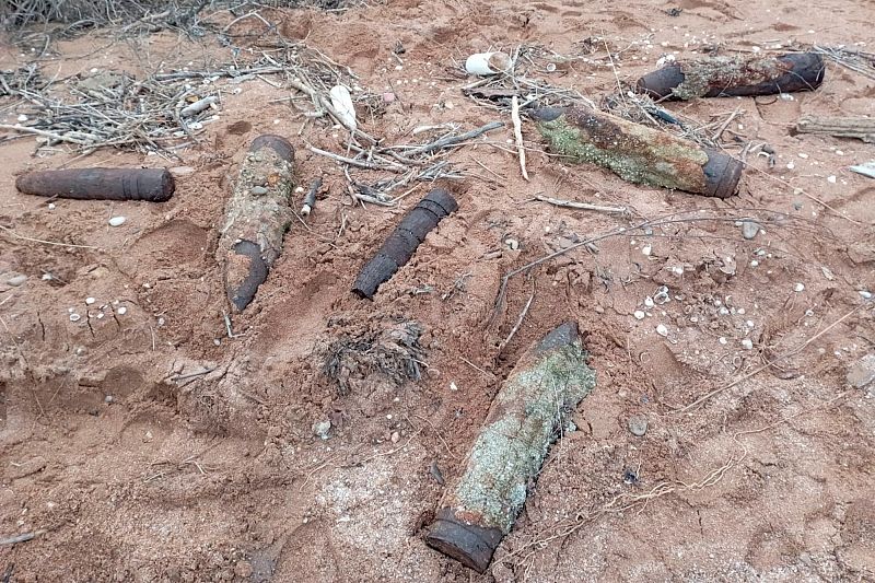 На Кубани мужчина гулял с собакой по берегу моря и нашел снаряды времен Великой Отечественной